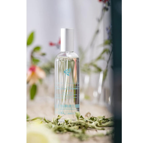 Eau De Toilette Spray - Luxury Long-Lasting Fragrance - Vervain Scent - Elegant Perfume Gift - Made in France - 3.5 Oz